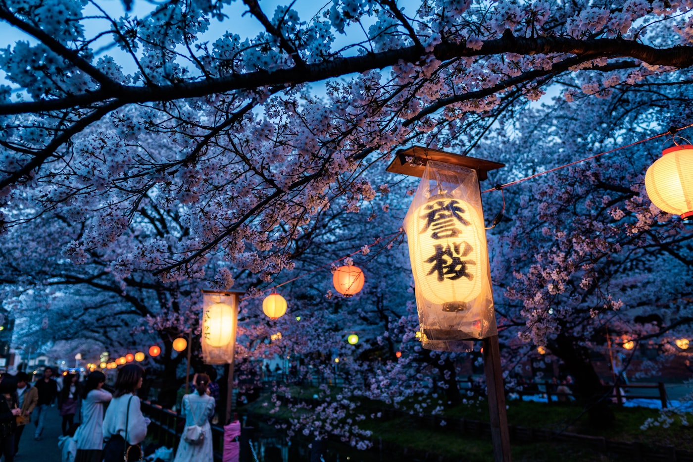 夏祭りの灯り
