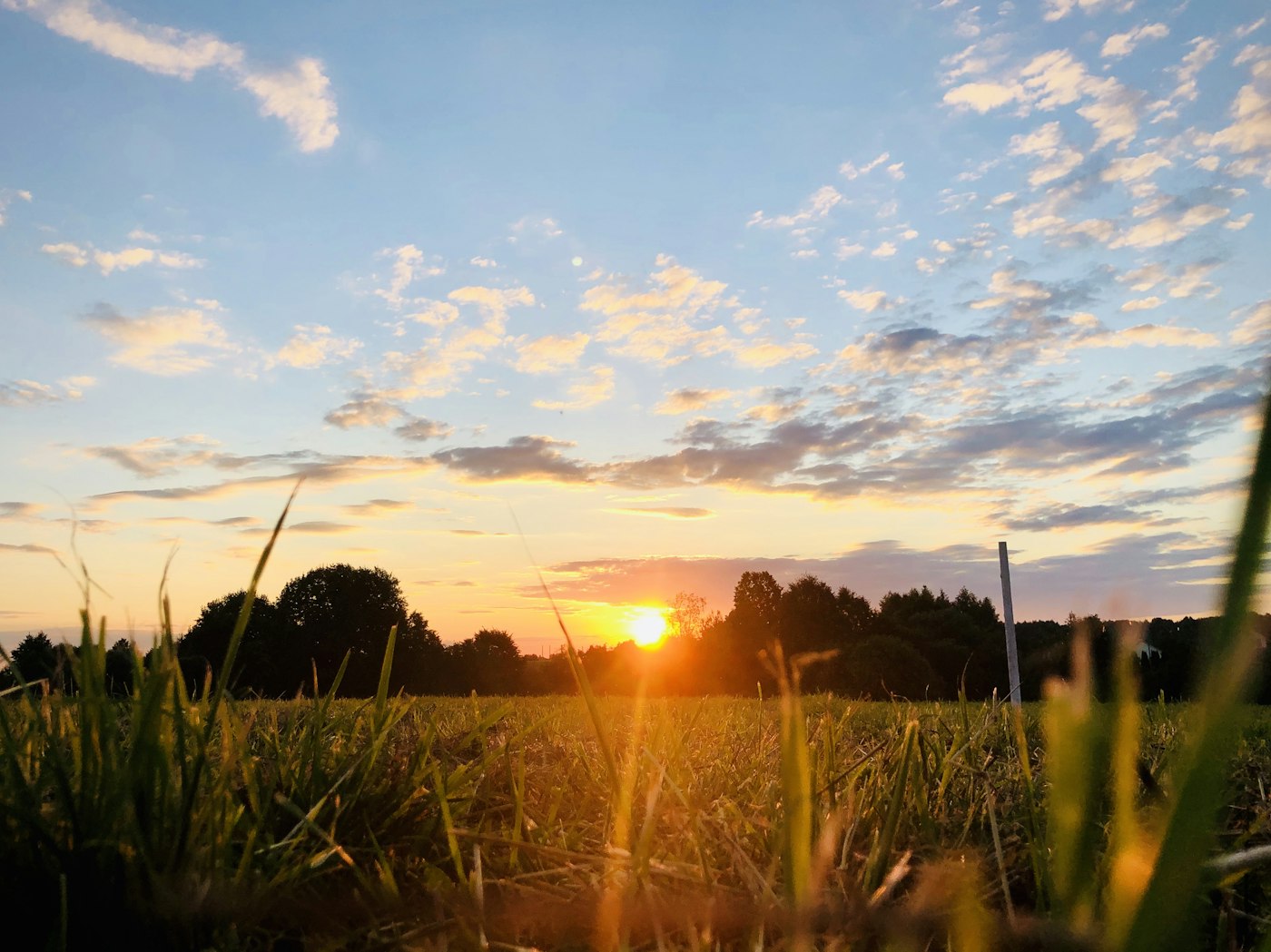 夕暮れの土手