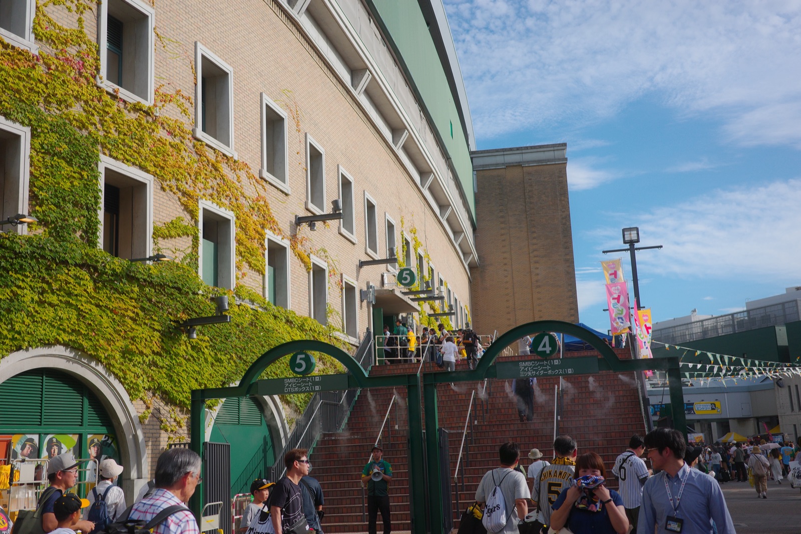 甲子園の蔦の外壁